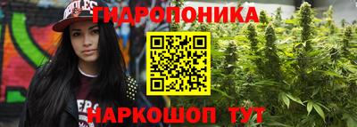 ALPHA PVP Пугачёв