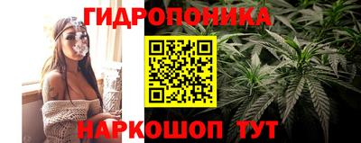 ALPHA PVP Пугачёв