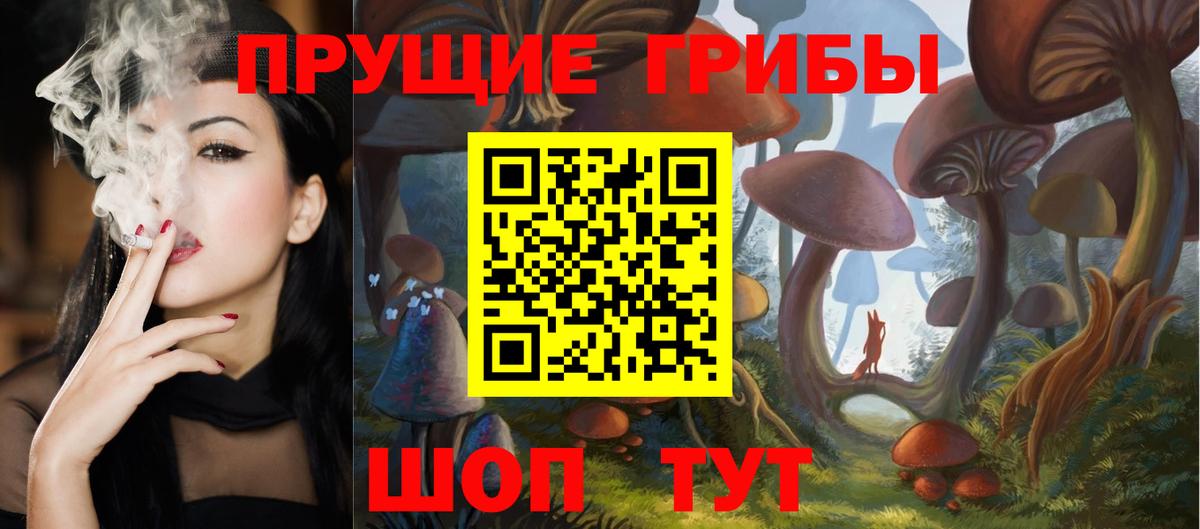 Сарапул  Галлюциногенные грибы Psilocybe  Вход с VPN  Псилоцибиновые грибы Psilocybe 