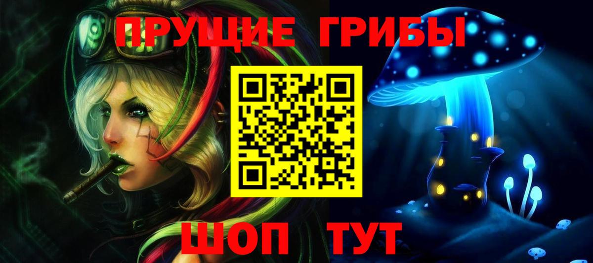 Псилоцибиновые грибы мицелий Сарапул